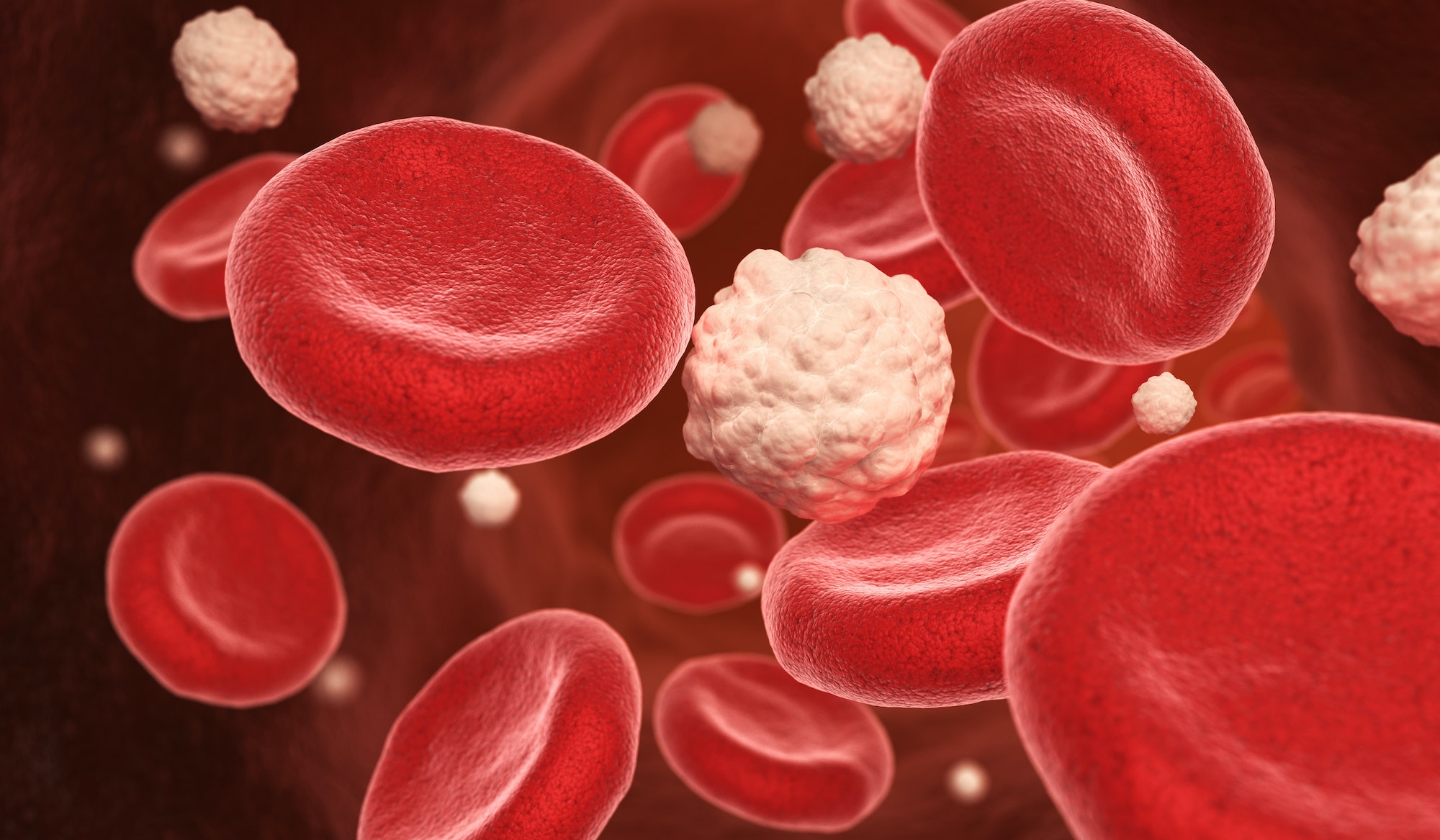 Blood cells and glucose in the vein