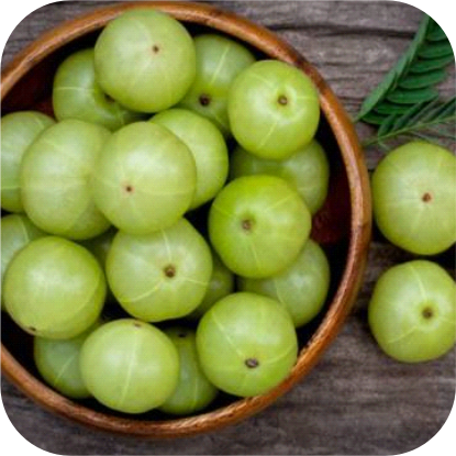 Amla-SABERRY.png