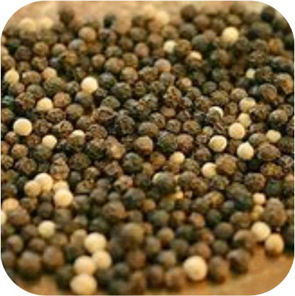 Black-Pepper-ext-BioPerine-0215.png