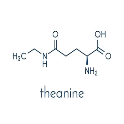 L-Theanine.png