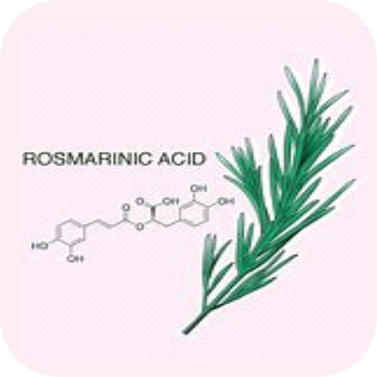 Rosmarinic-Acid-Maca.png