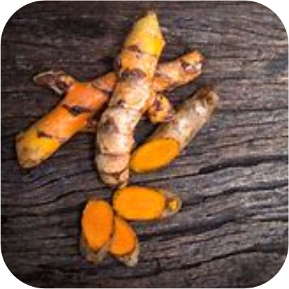 Turmeric.png